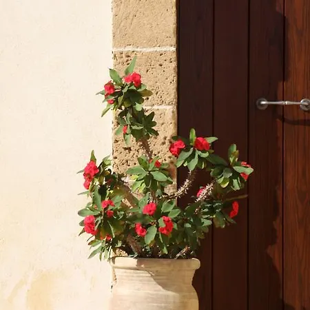 L'antico Trappeto Couette-café Noto