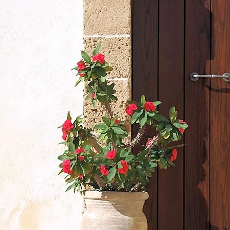 Bed & Breakfast L'antico Trappeto